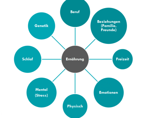 Grafik zeigt den Zusammenhang zwischen Ernährung und anderen Lebensbereichen. optimumtraining.at