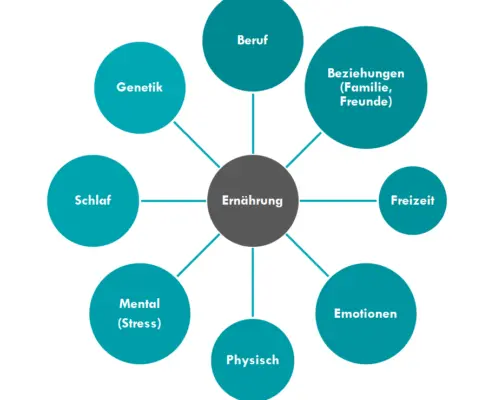 Grafik zeigt den Zusammenhang zwischen Ernährung und anderen Lebensbereichen. optimumtraining.at