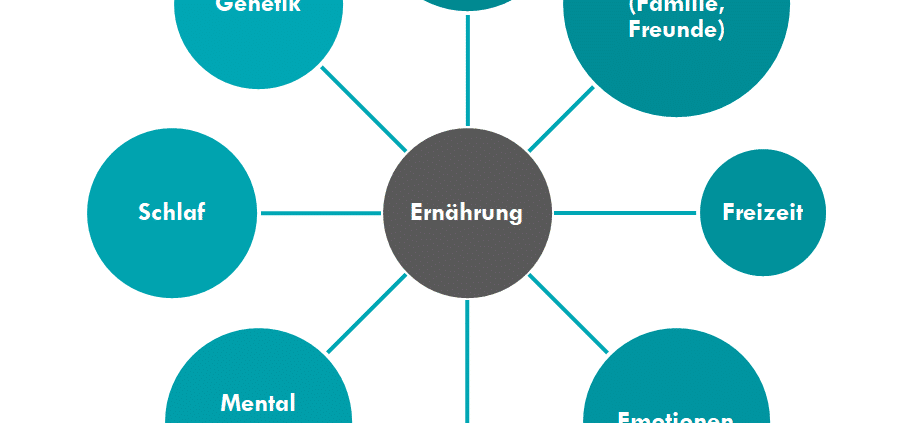 Grafik zeigt den Zusammenhang zwischen Ernährung und anderen Lebensbereichen. optimumtraining.at